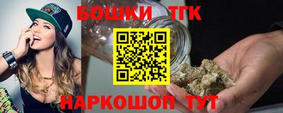 тгк Партизанск
