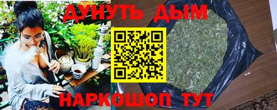 сатива Пенза